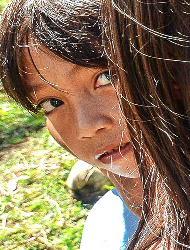 Gallery 002 Free Img